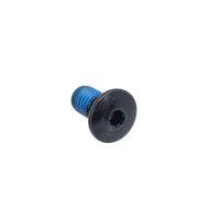 FR - MOUNTING SCREW FOR CARBON SKATES x1