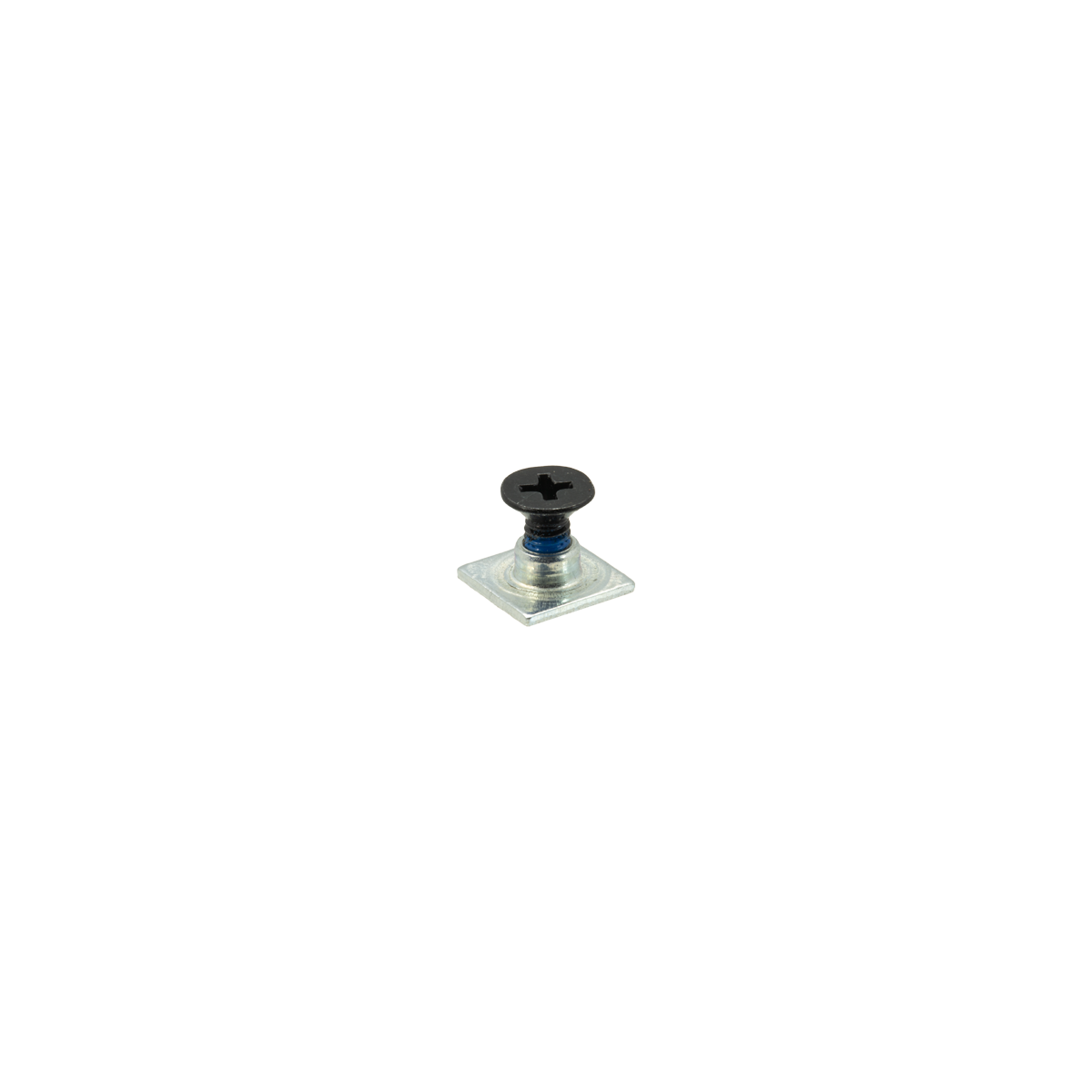 FR - SPIN - BUCKLE SCREW X 1
